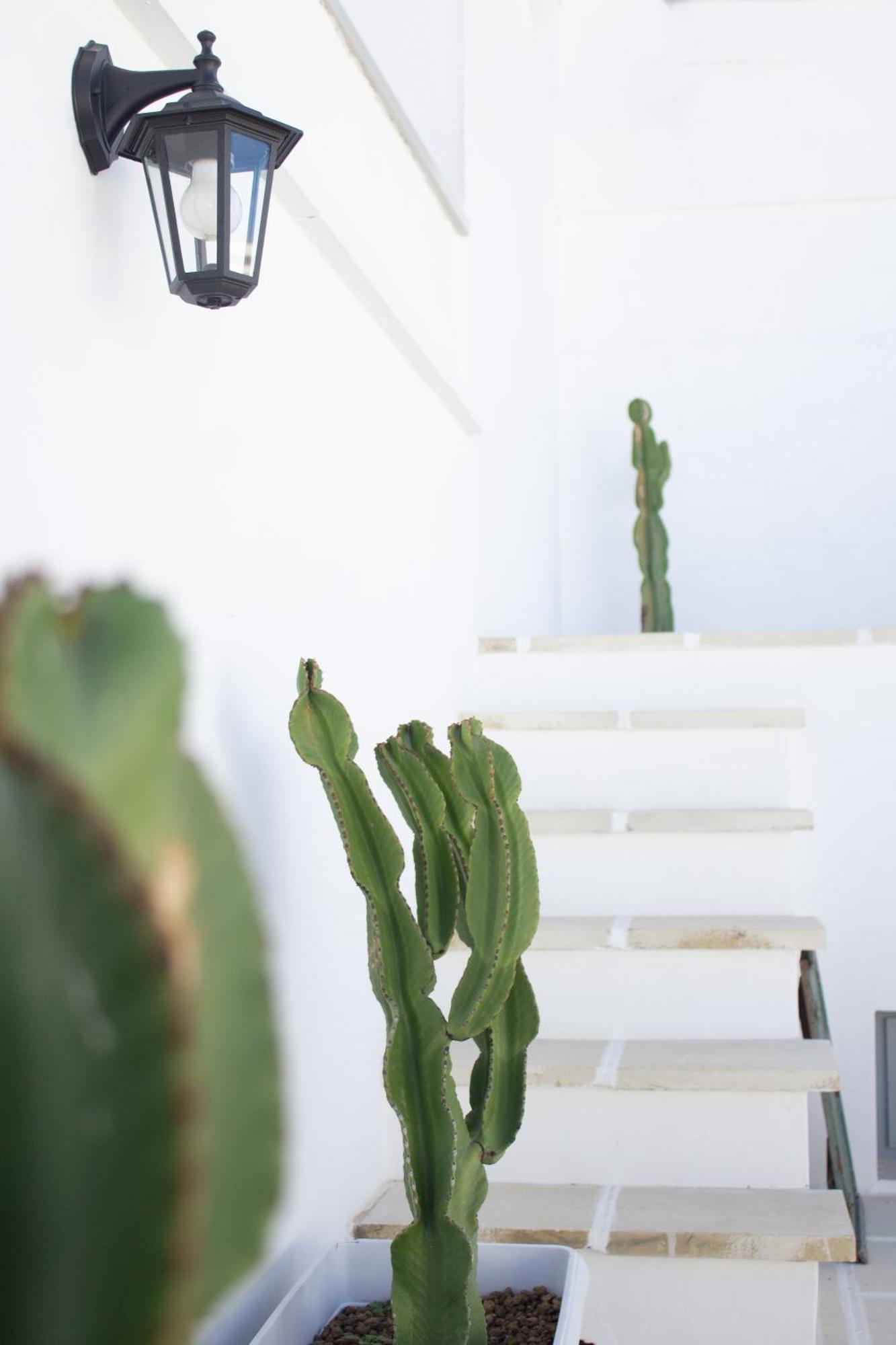 Apartmán Dimora Laure Fasano Exteriér fotografie